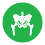 Hip